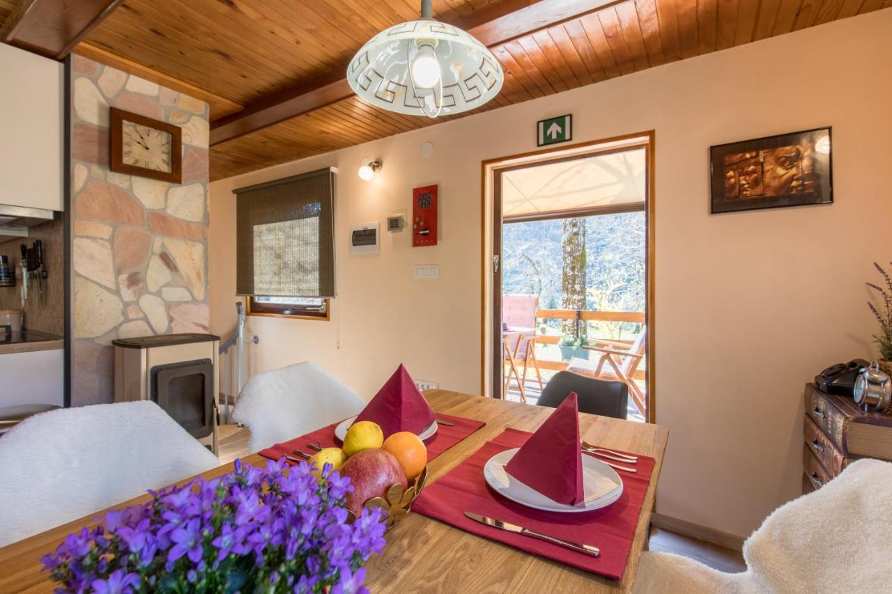 Vila Rozi, Osilnica - Vacation House Pr' Vili Rozi Bagian luar foto