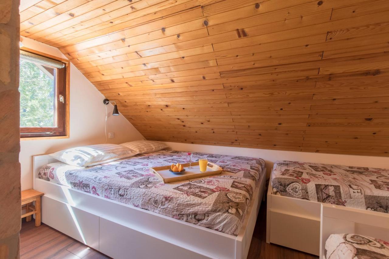 Vila Rozi, Osilnica - Vacation House Pr' Vili Rozi Bagian luar foto