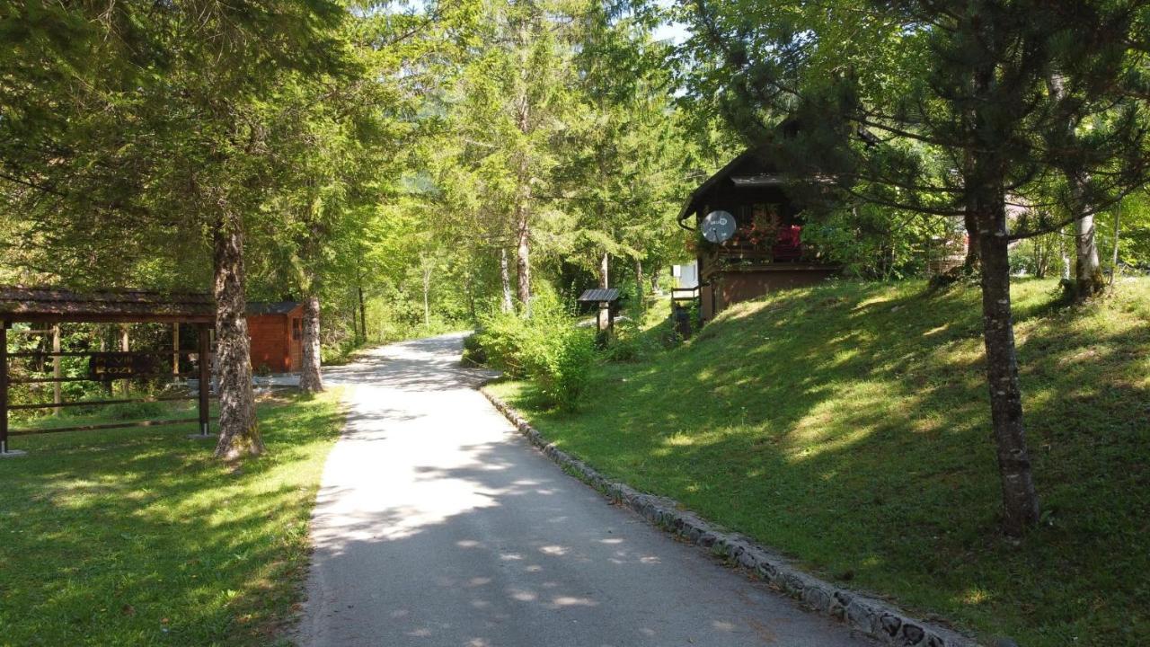 Vila Rozi, Osilnica - Vacation House Pr' Vili Rozi Bagian luar foto