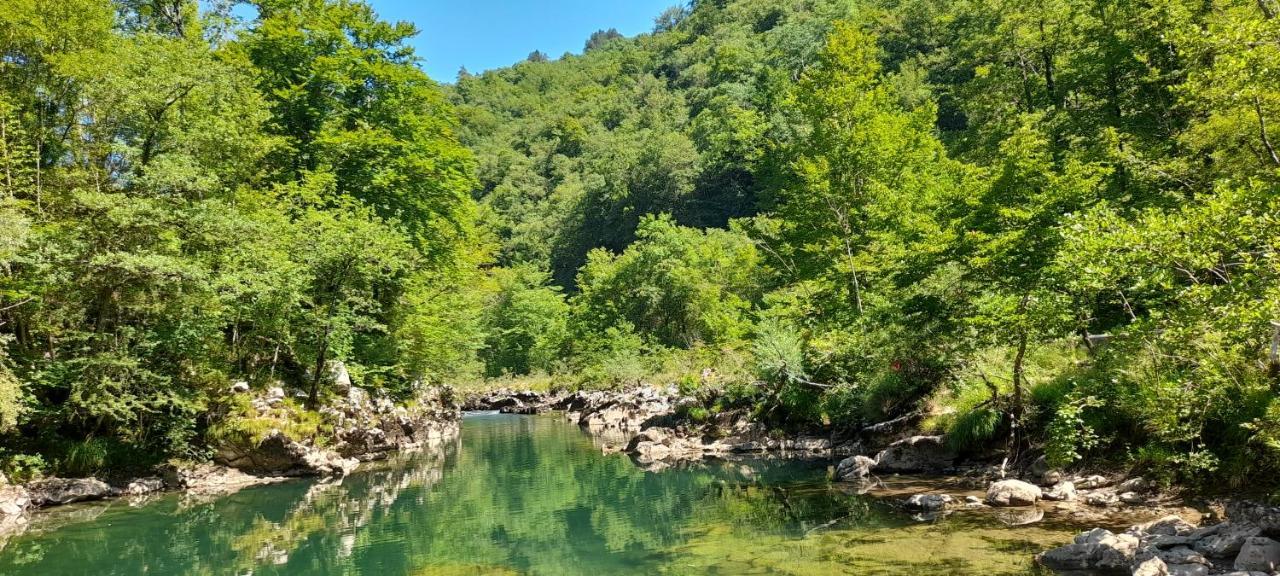 Vila Rozi, Osilnica - Vacation House Pr' Vili Rozi Bagian luar foto