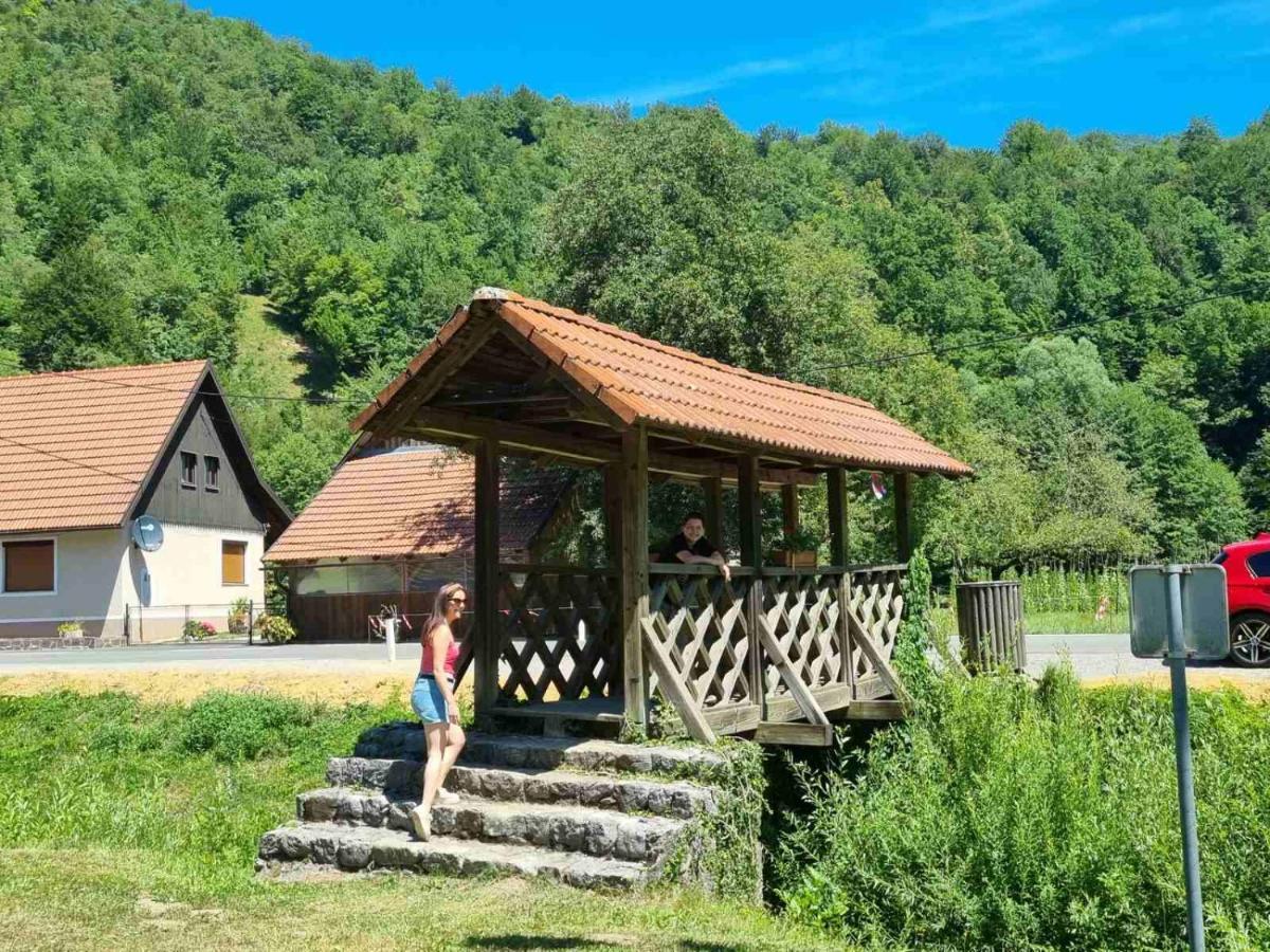Vila Rozi, Osilnica - Vacation House Pr' Vili Rozi Bagian luar foto