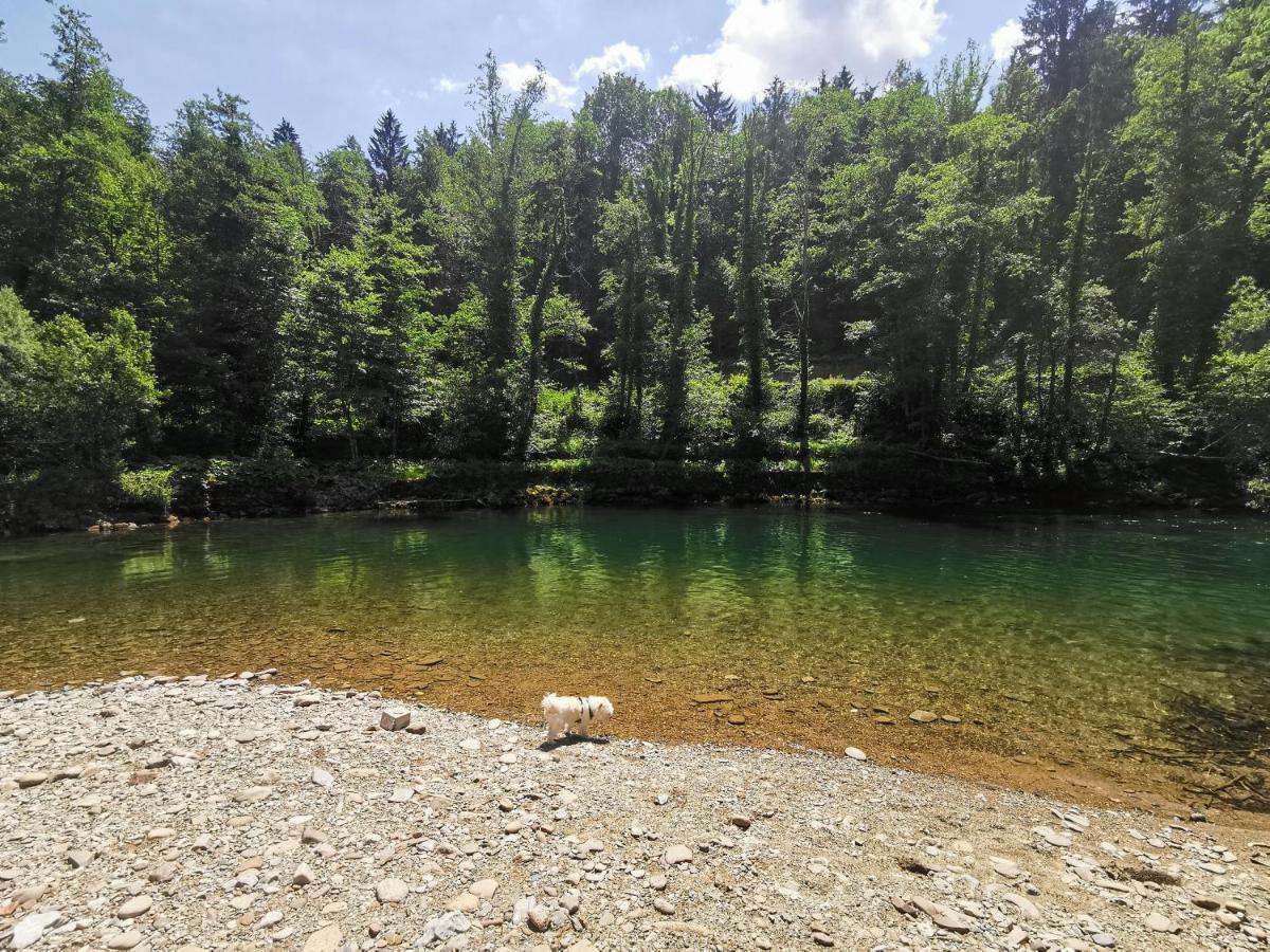 Vila Rozi, Osilnica - Vacation House Pr' Vili Rozi Bagian luar foto